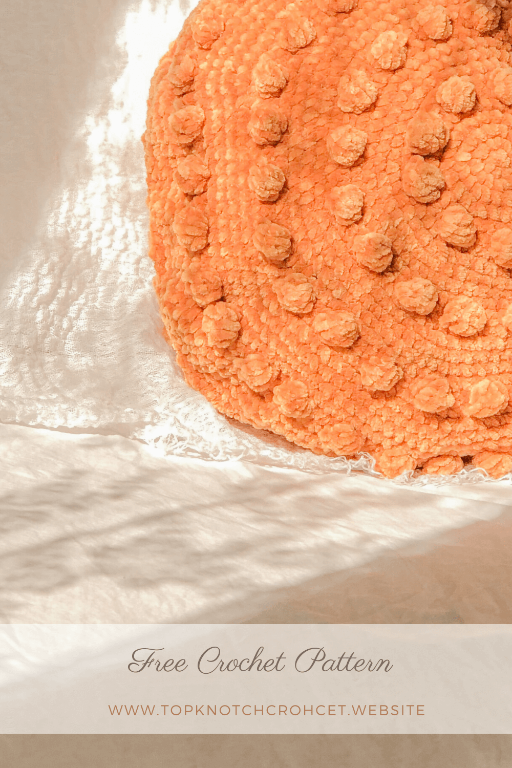 Read more about the article Round Velvet Crochet Pillow Case- Free Pattern